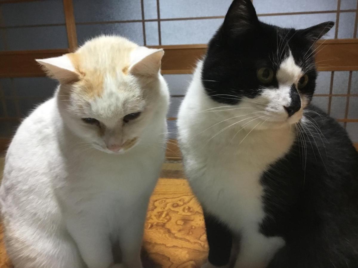 古民家 羅美 호텔 Ayabe 외부 사진